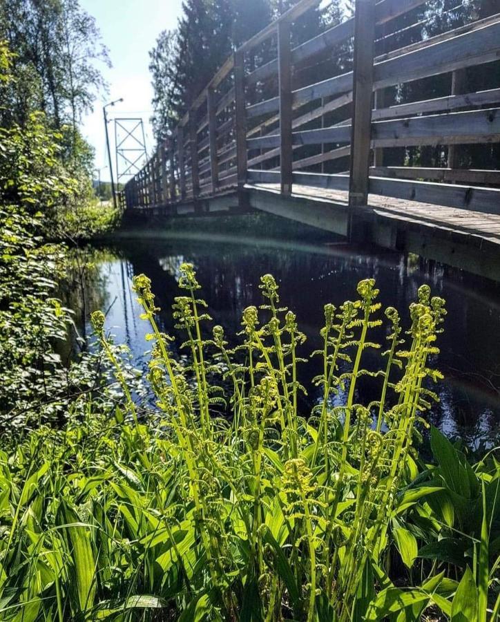 Mysig Timmerstuga Med Braskamin Naera Hovfjaellet Torsby Extérieur photo